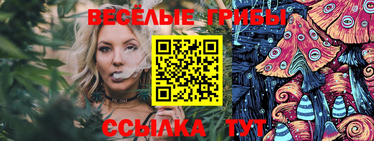 Галлюциногенные грибы прущие грибы  купить  цена  Сатка  Вход с VPN 